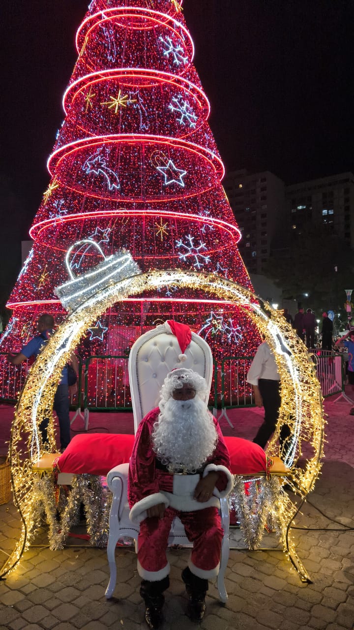 El Árbol de Navidad abrió la agenda navideña local