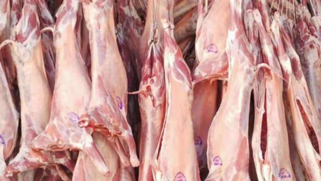 Comenzó la temporada de faena de chivitos en Chos Malal