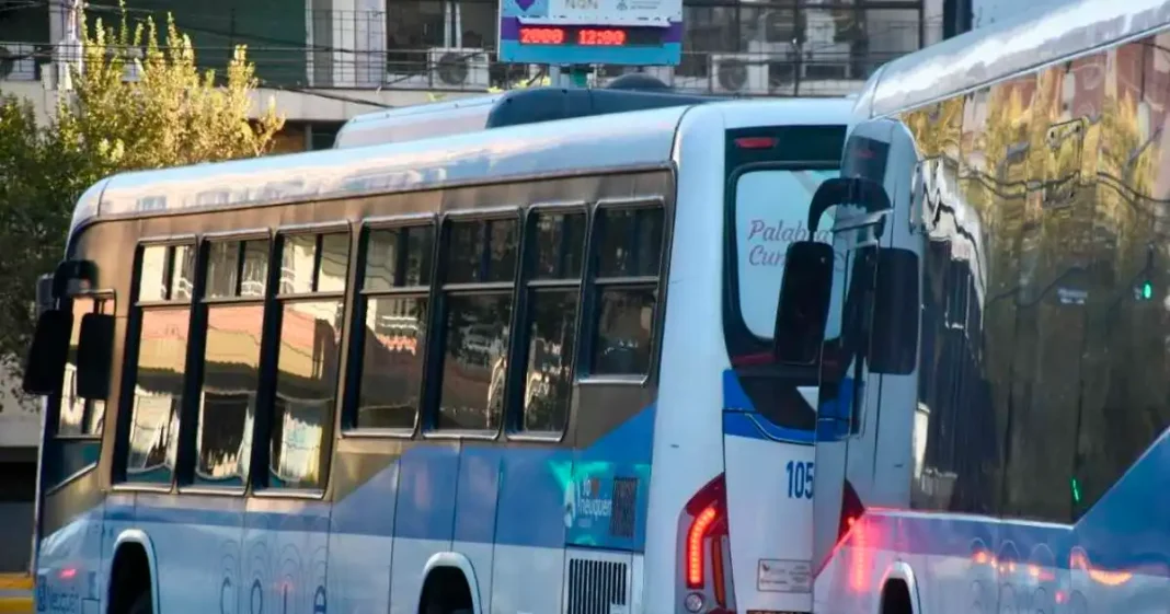 Esquema de servicios por el feriado en Neuquén capital