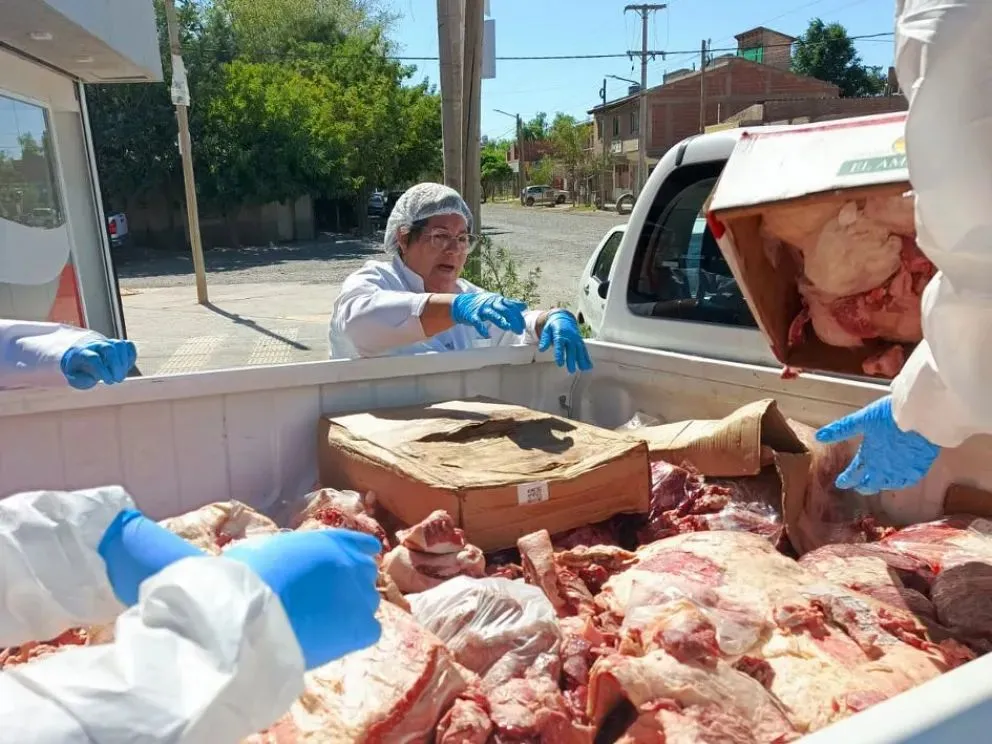 Decomisan 650 kilos de carne en carnicerías de Plottier