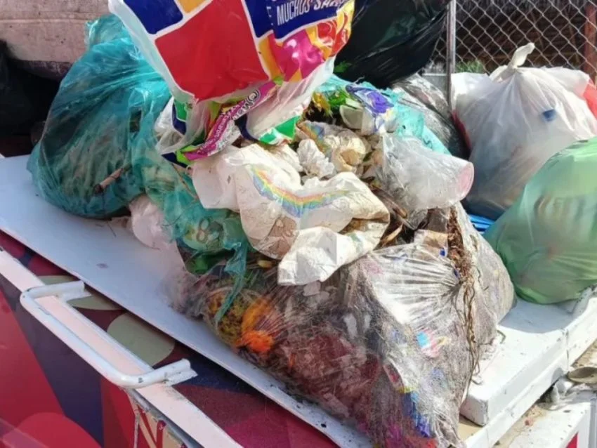 Investigan descarte ilegal de carne en la vía pública Investigan descarte ilegal de carne en la vía pública