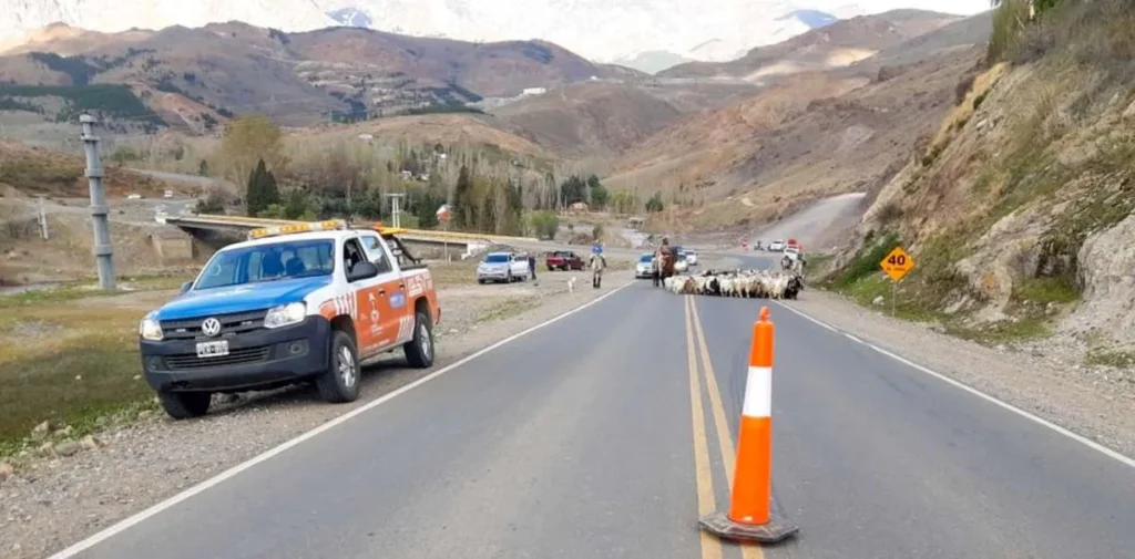 Operativo vial y sanitario por el fin de semana largo