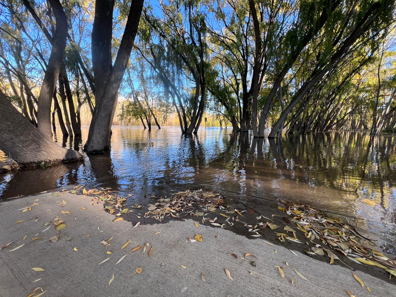 Crecida del río Limay en Neuquén: por qué aumentó el caudal y cuáles son las zonas de riesgo Crecida del río Limay en Neuquén: por qué aumentó el caudal y cuáles son las zonas de riesgo