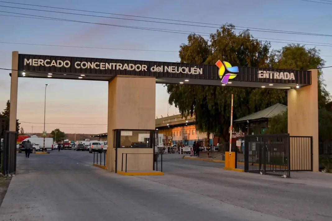 El Mercado Concentrador abre los sábados: compras minoristas y ahorro de hasta la mitad de precio El Mercado Concentrador abre los sábados: compras minoristas y ahorro de hasta la mitad de precio