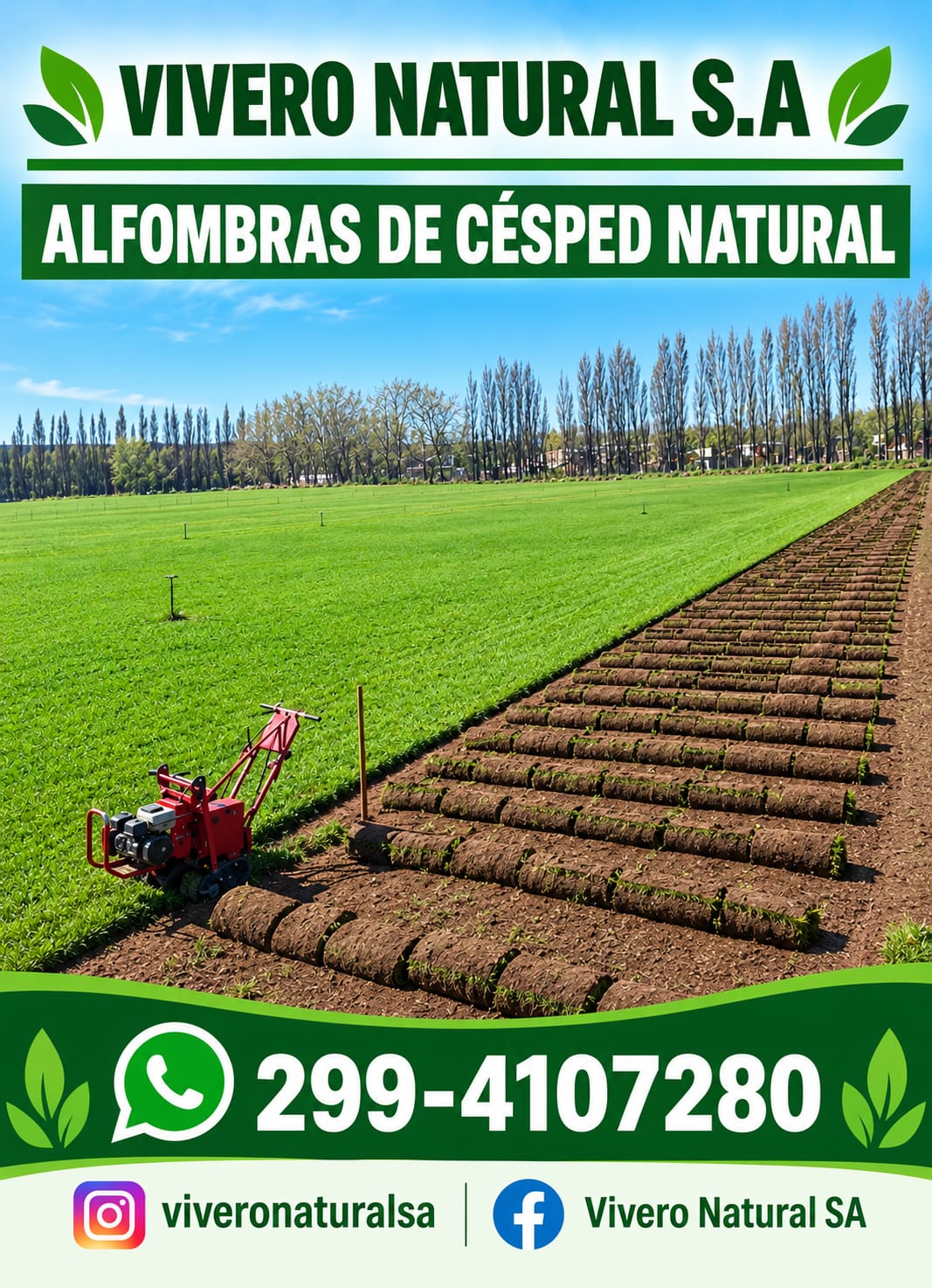 spot_img